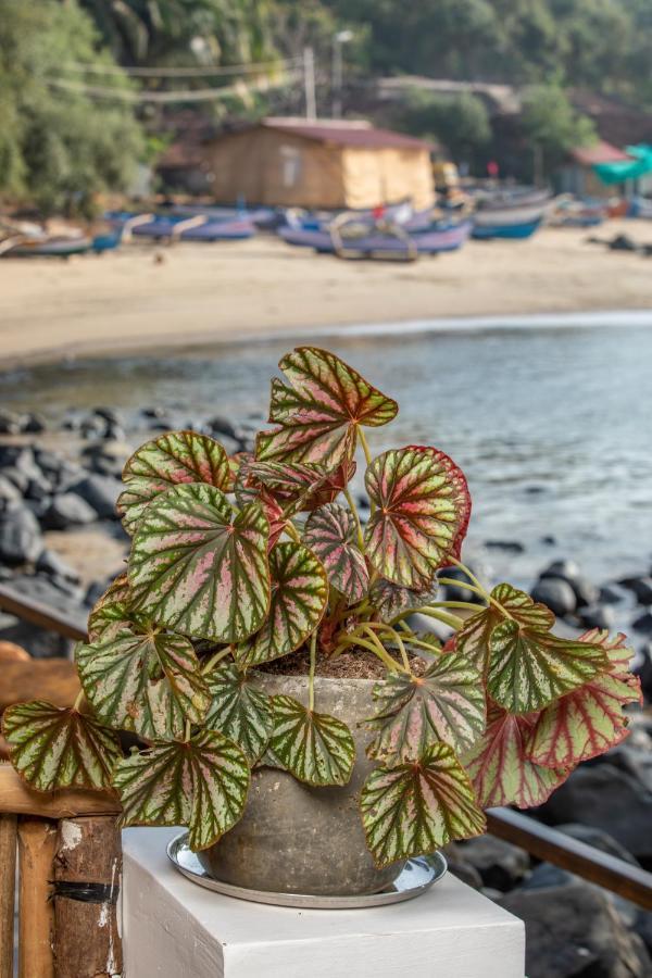 Hotel Casa Jaali Patnem Beach Exterior foto